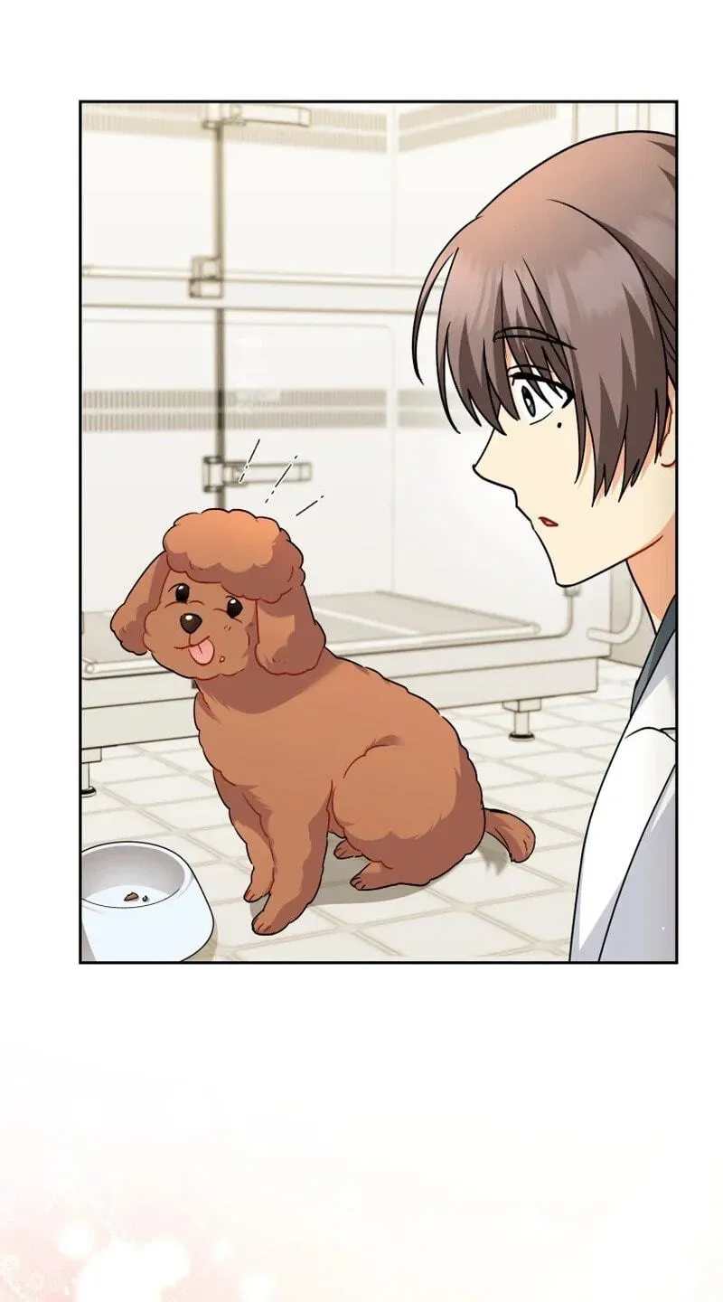 Read Hello, Mr. Veterinarian! chapter 139 image 124 on Lezhin