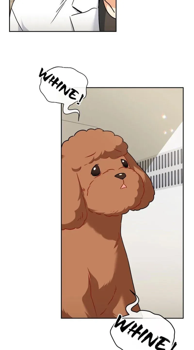 Read Hello, Mr. Veterinarian! chapter 139 image 13 on Lezhin