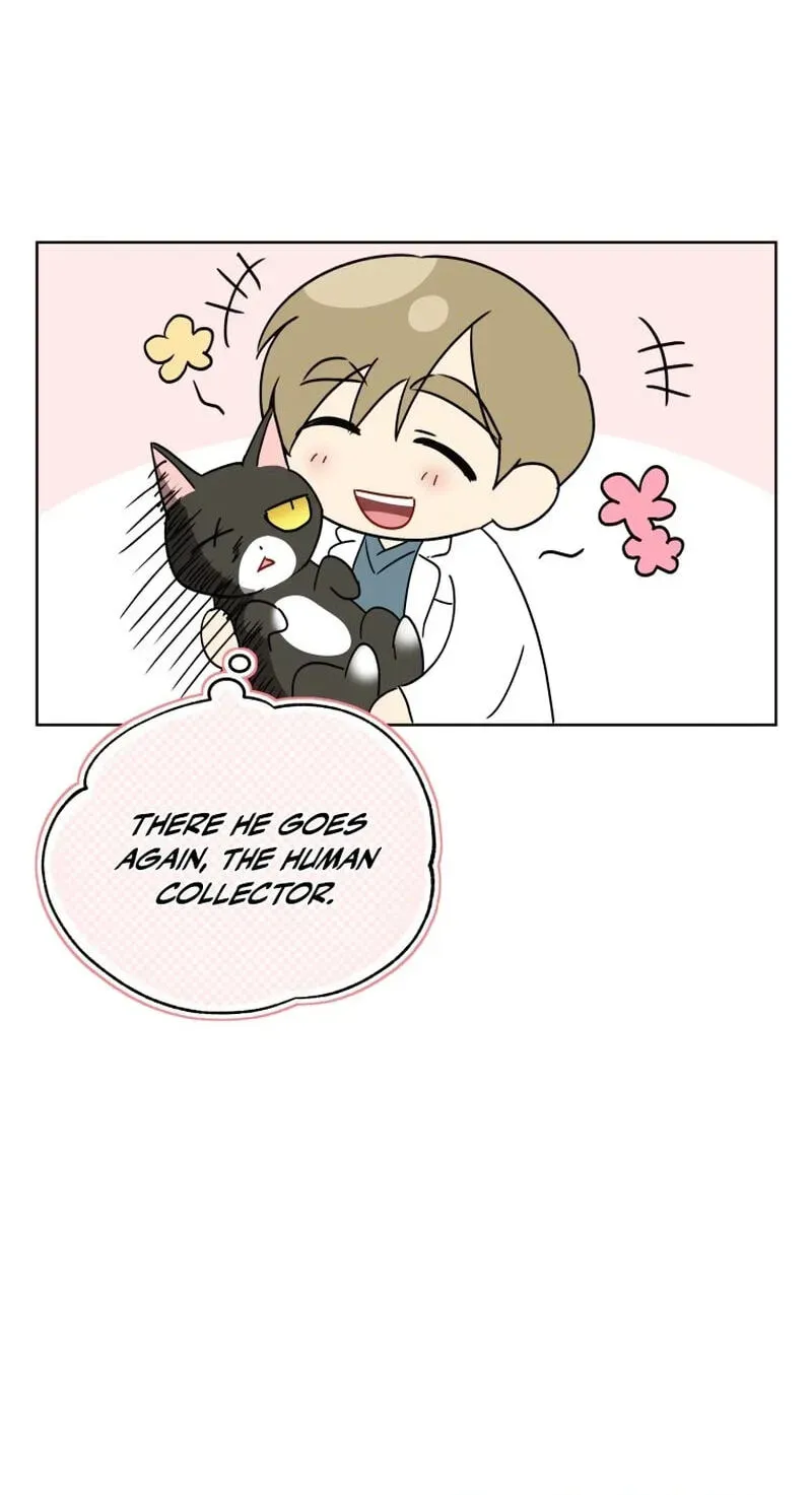 Read Hello, Mr. Veterinarian! chapter 139 image 131 on Lezhin