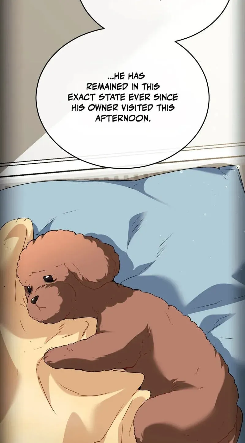 Read Hello, Mr. Veterinarian! chapter 139 image 3 on Lezhin