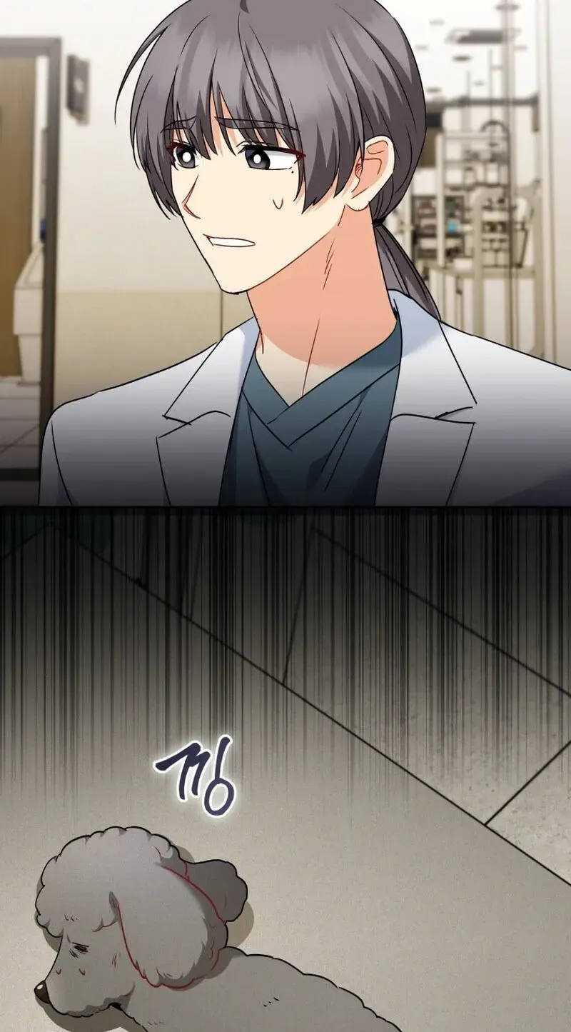 Read Hello, Mr. Veterinarian! chapter 139 image 5 on Lezhin