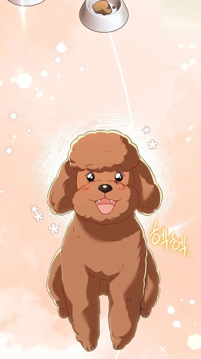 Read Hello, Mr. Veterinarian! chapter 139 image 67 on Lezhin