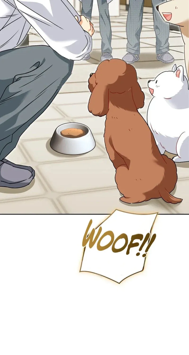 Read Hello, Mr. Veterinarian! chapter 139 image 70 on Lezhin