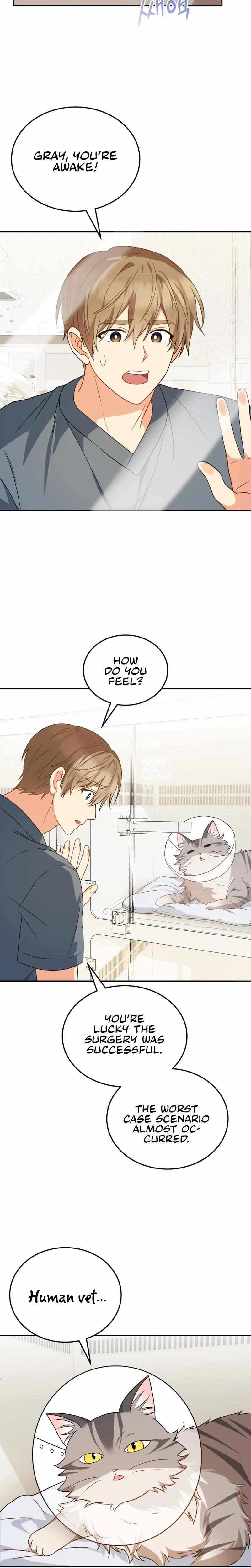 Hello, Mr. Veterinarian! Chapter 14 page 15 - 