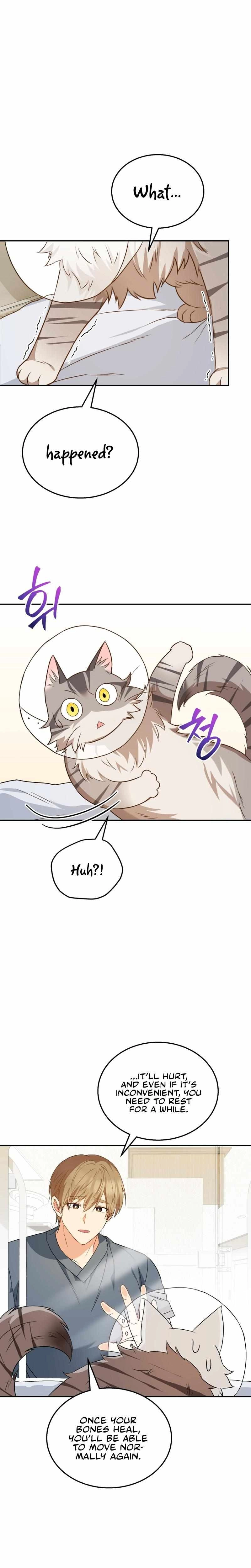 Hello, Mr. Veterinarian! Chapter 14 page 16 - 