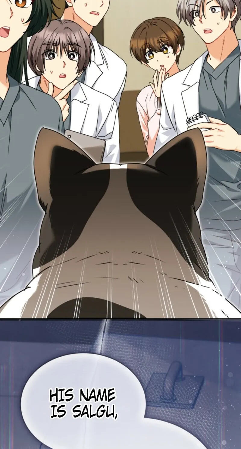 Read Hello, Mr. Veterinarian! chapter 140 image 63 on Lezhin