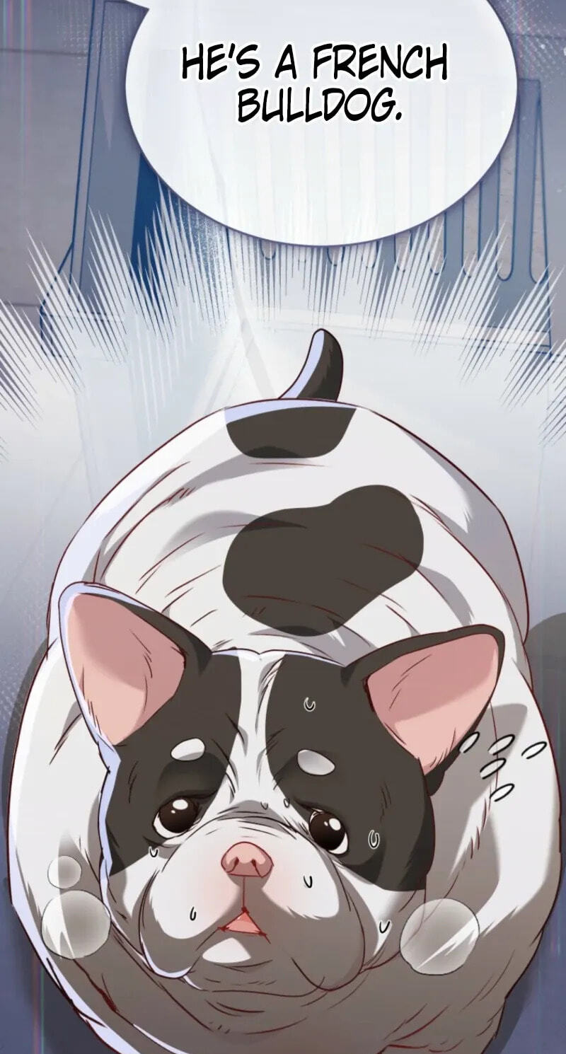 Read Hello, Mr. Veterinarian! chapter 140 image 64 on Lezhin