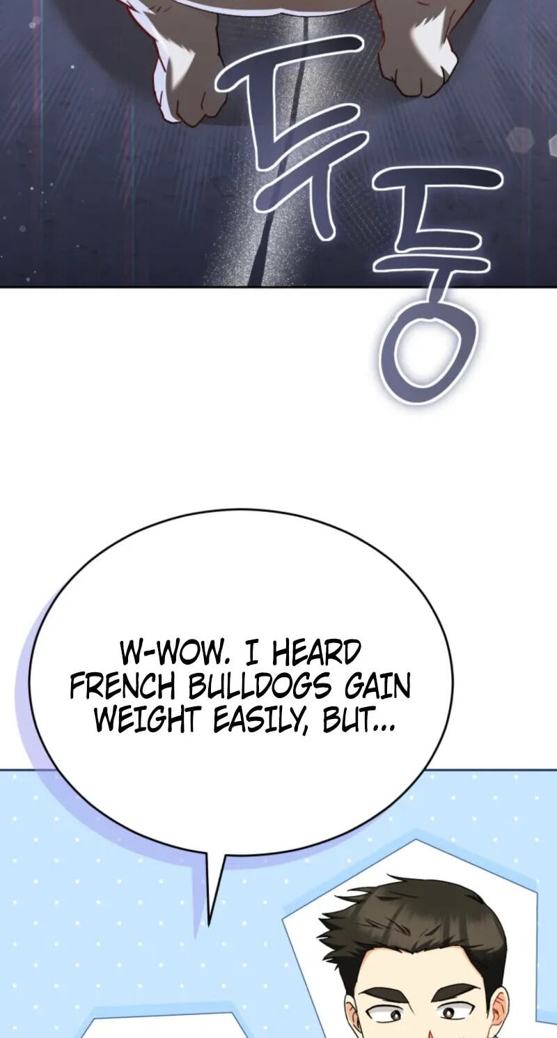 Read Hello, Mr. Veterinarian! chapter 140 image 65 on Lezhin