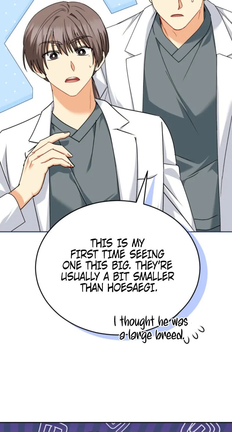 Read Hello, Mr. Veterinarian! chapter 140 image 66 on Lezhin