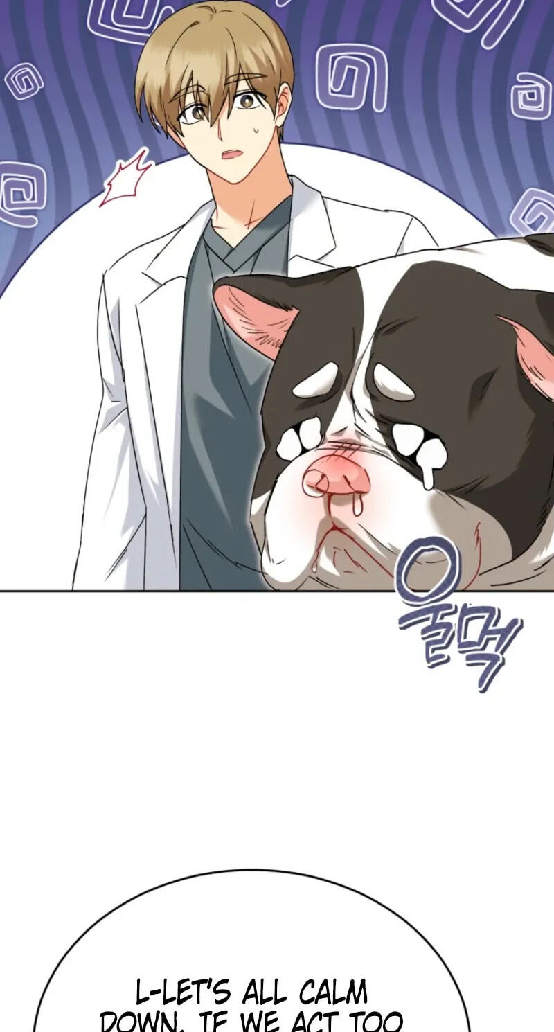 Read Hello, Mr. Veterinarian! chapter 140 image 67 on Lezhin
