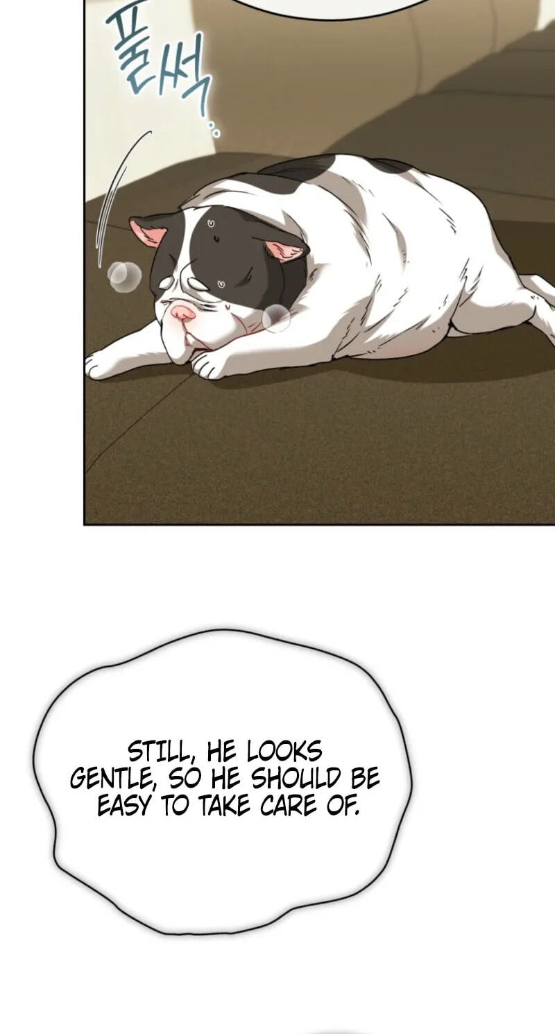 Read Hello, Mr. Veterinarian! chapter 140 image 69 on Lezhin