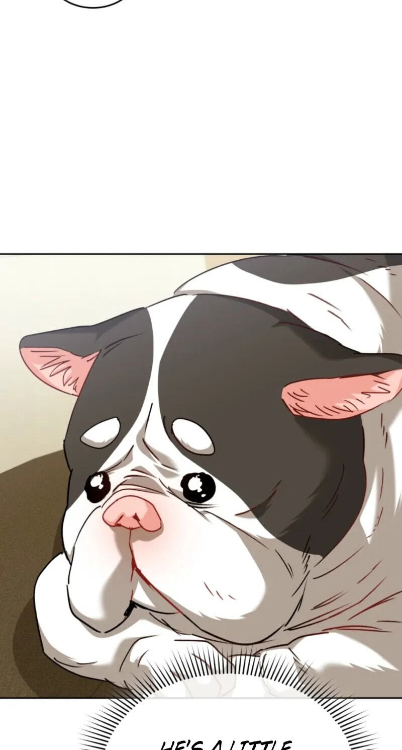 Read Hello, Mr. Veterinarian! chapter 140 image 71 on Lezhin