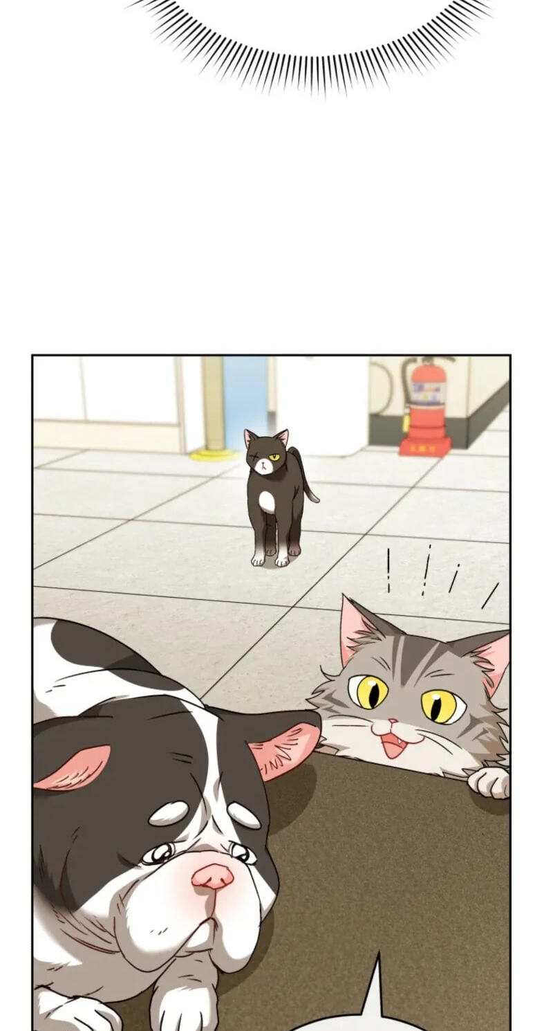Read Hello, Mr. Veterinarian! chapter 140 image 73 on Lezhin