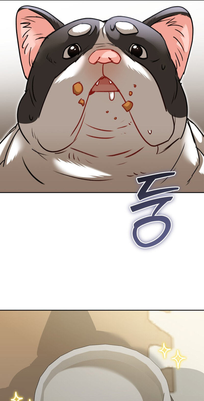 Read Hello, Mr. Veterinarian! chapter 141 image 1 on Lezhin