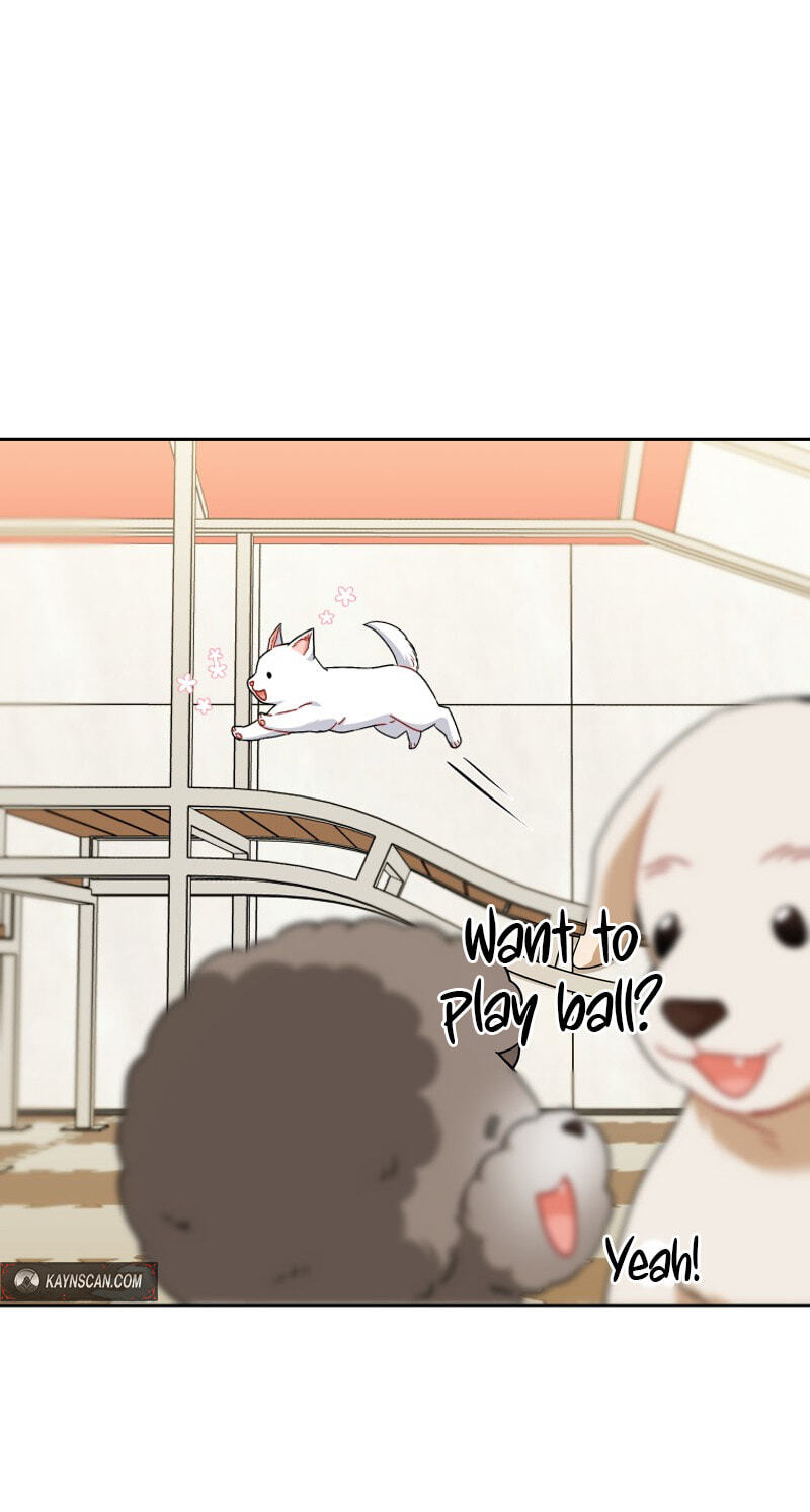 Read Hello, Mr. Veterinarian! chapter 141 image 10 on Lezhin