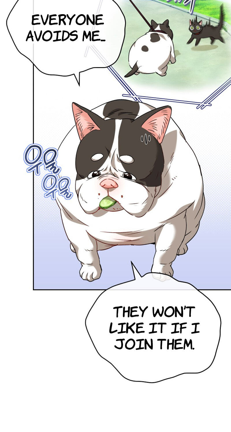 Read Hello, Mr. Veterinarian! chapter 141 image 14 on Lezhin