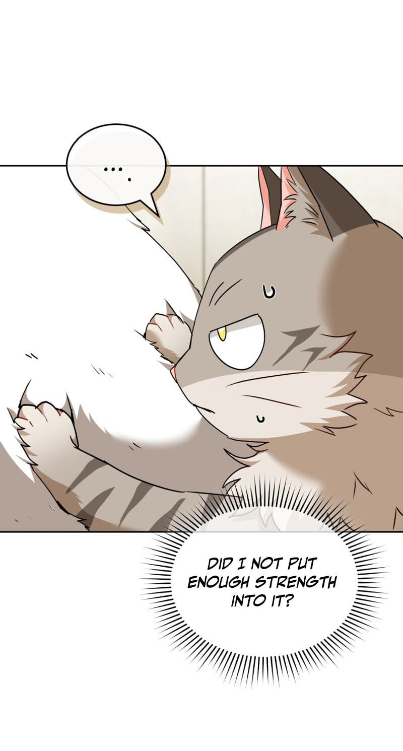 Read Hello, Mr. Veterinarian! chapter 141 image 26 on Lezhin