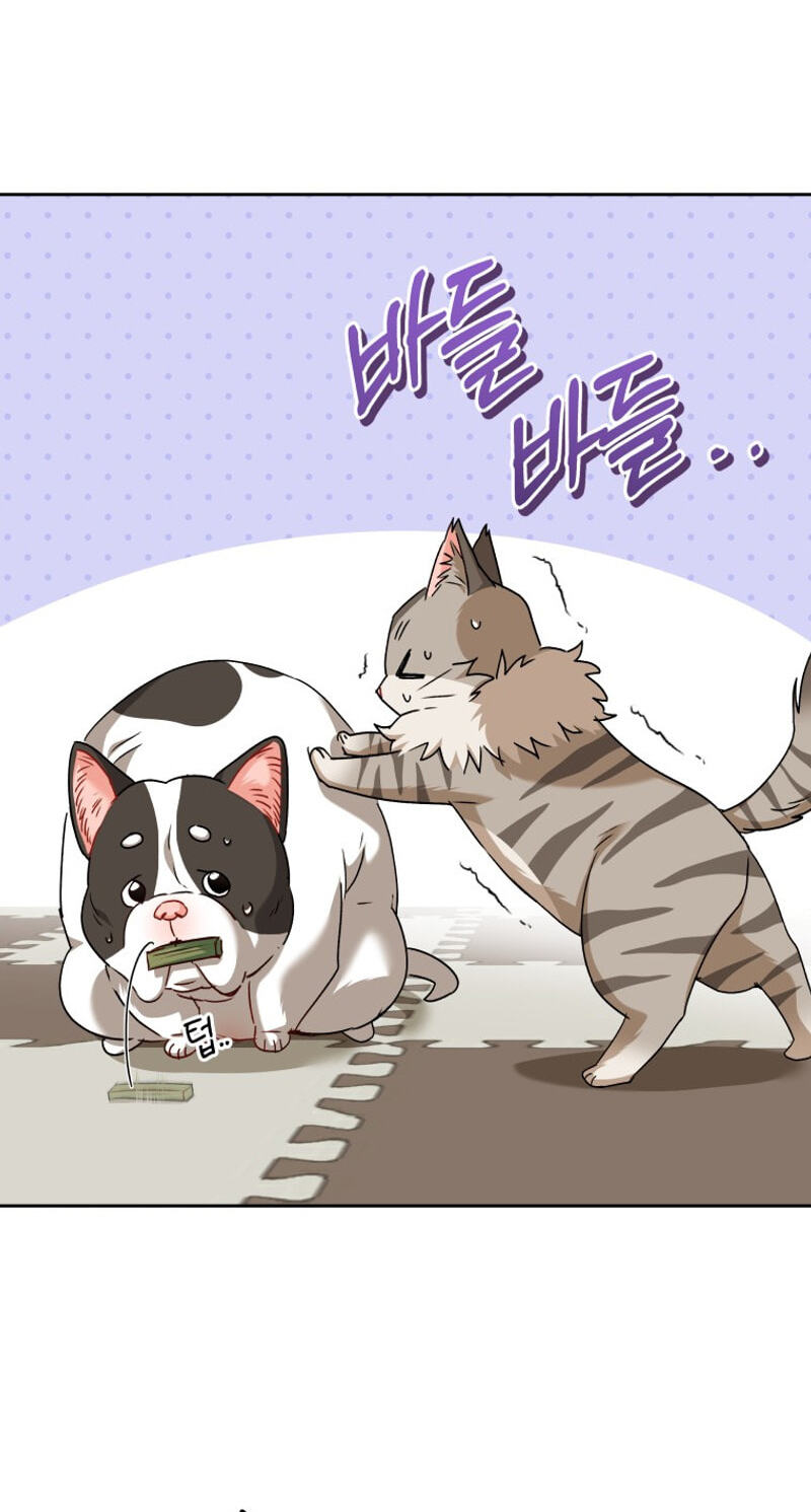 Read Hello, Mr. Veterinarian! chapter 141 image 27 on Lezhin
