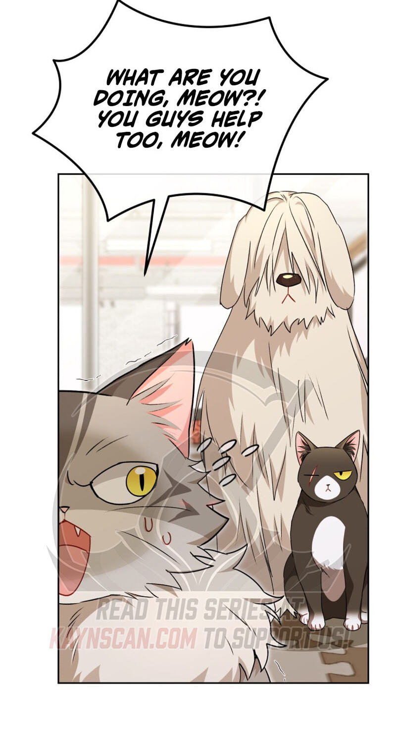 Read Hello, Mr. Veterinarian! chapter 141 image 28 on Lezhin