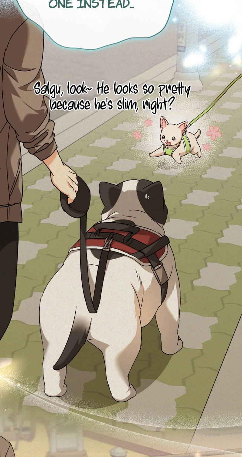 Read Hello, Mr. Veterinarian! chapter 141 image 43 on Lezhin
