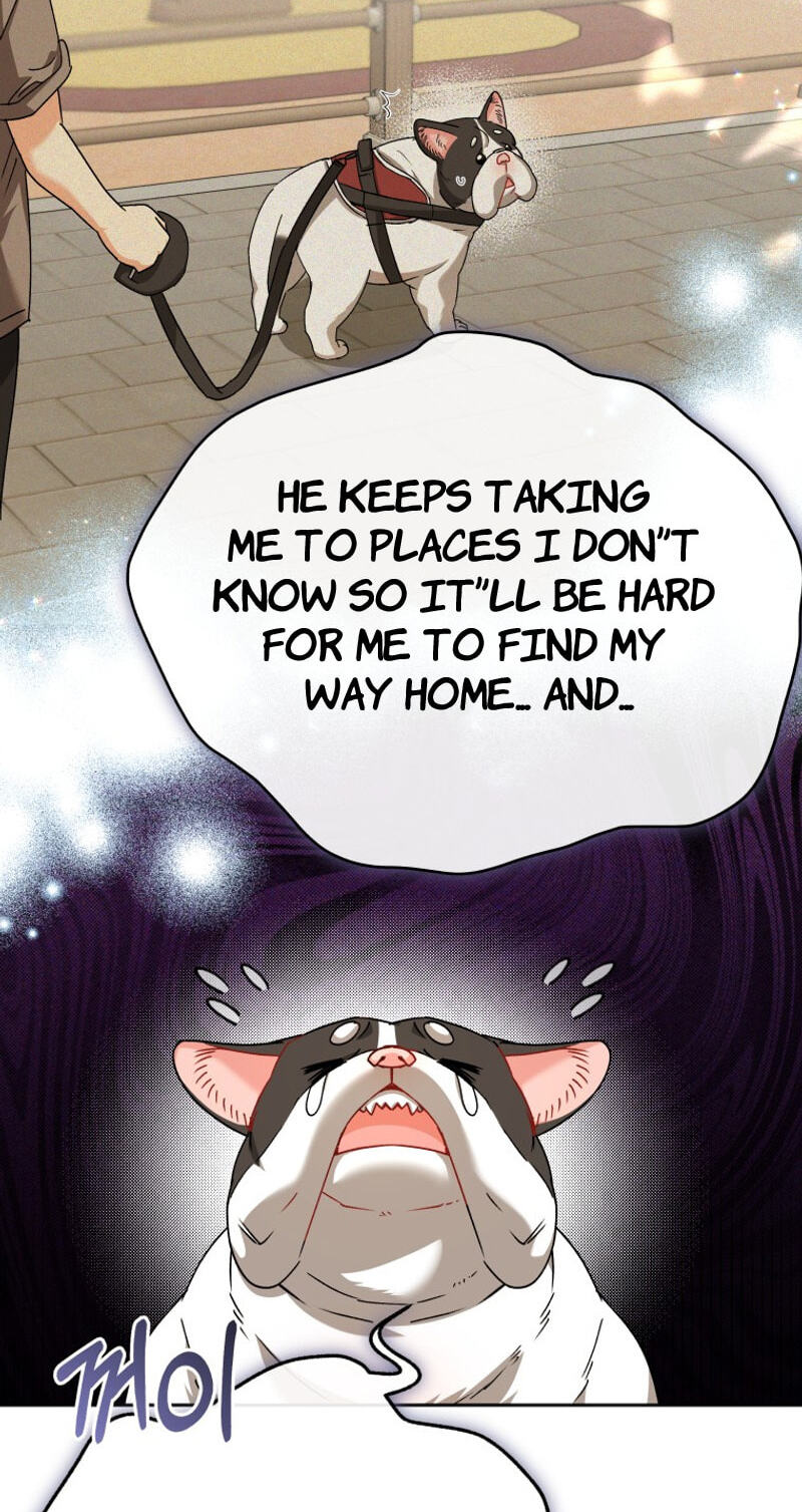 Read Hello, Mr. Veterinarian! chapter 141 image 44 on Lezhin