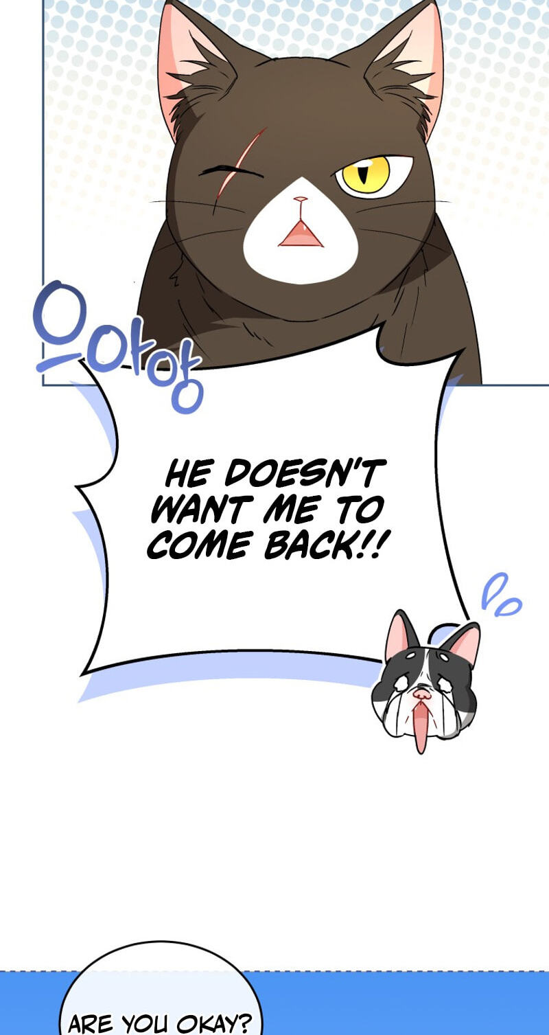 Read Hello, Mr. Veterinarian! chapter 141 image 46 on Lezhin