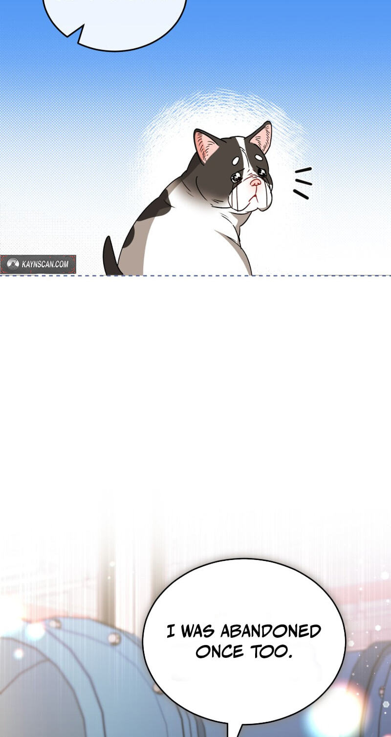 Read Hello, Mr. Veterinarian! chapter 141 image 47 on Lezhin