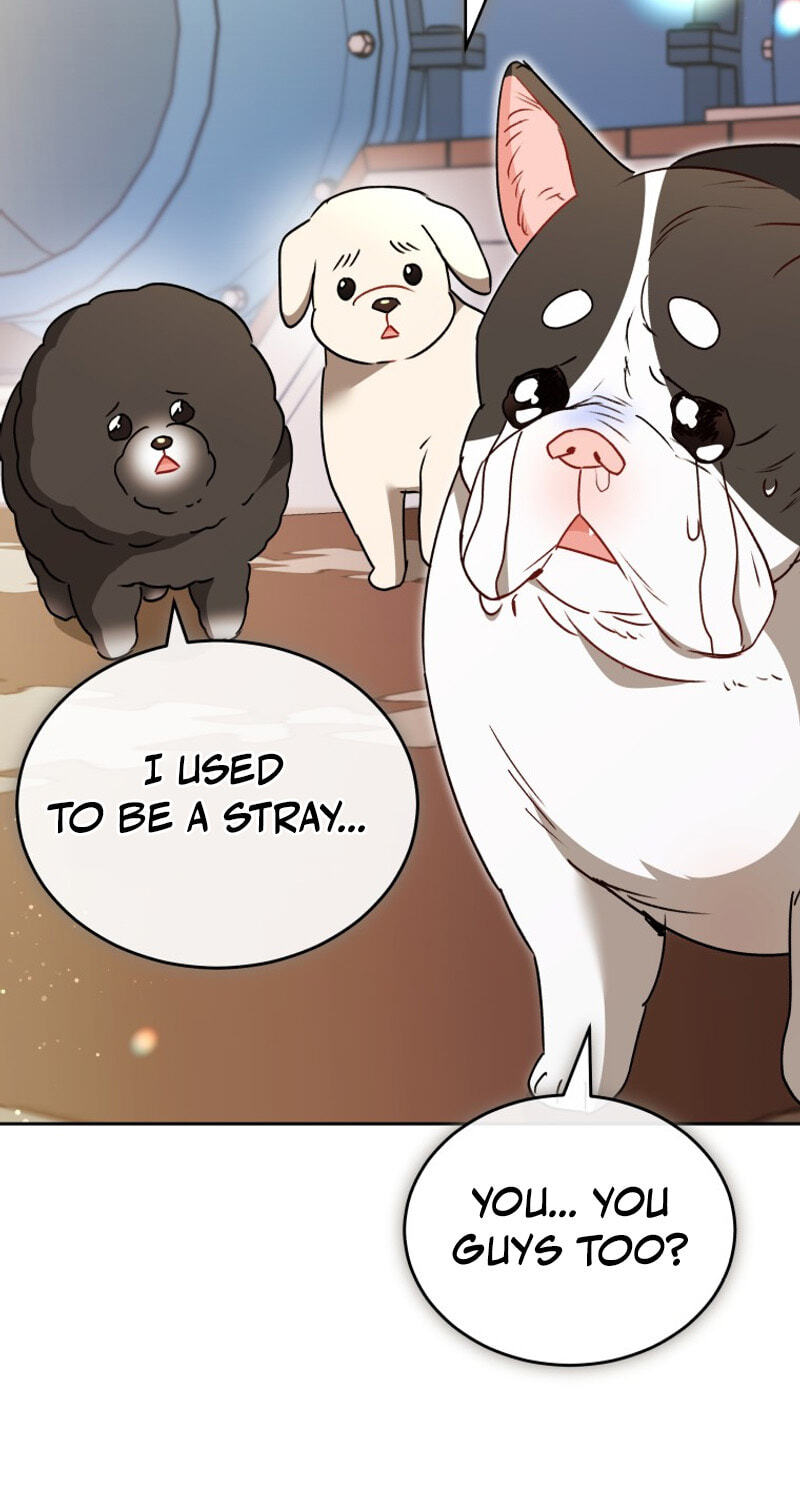 Read Hello, Mr. Veterinarian! chapter 141 image 48 on Lezhin