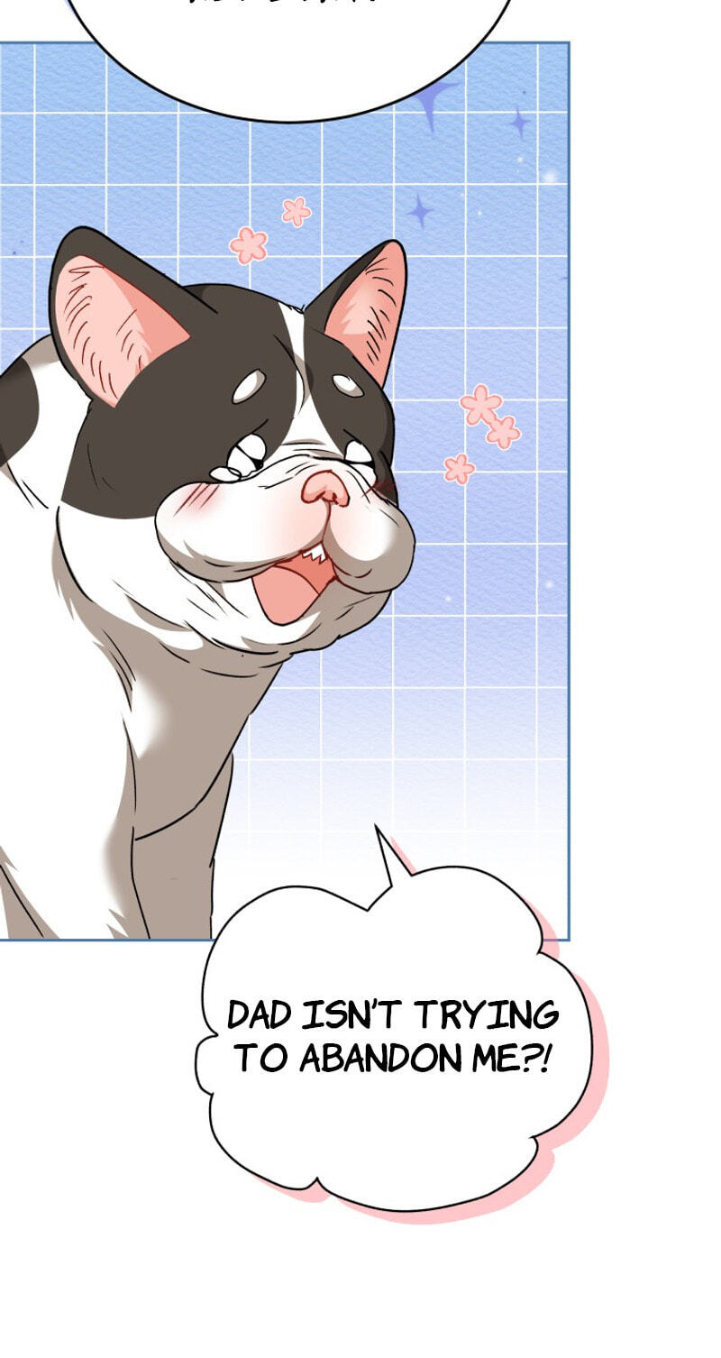 Read Hello, Mr. Veterinarian! chapter 141 image 54 on Lezhin