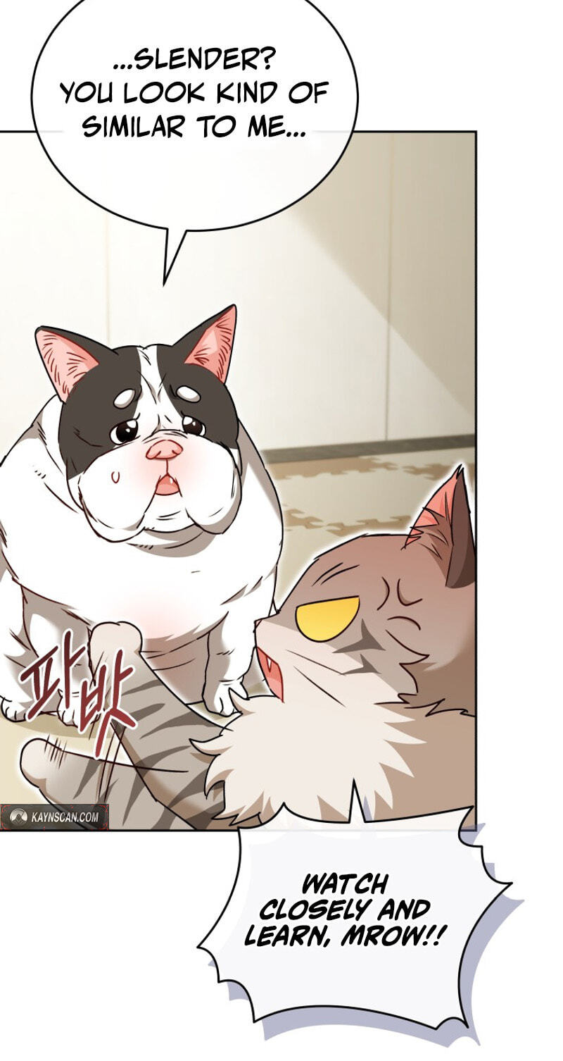 Read Hello, Mr. Veterinarian! chapter 141 image 58 on Lezhin