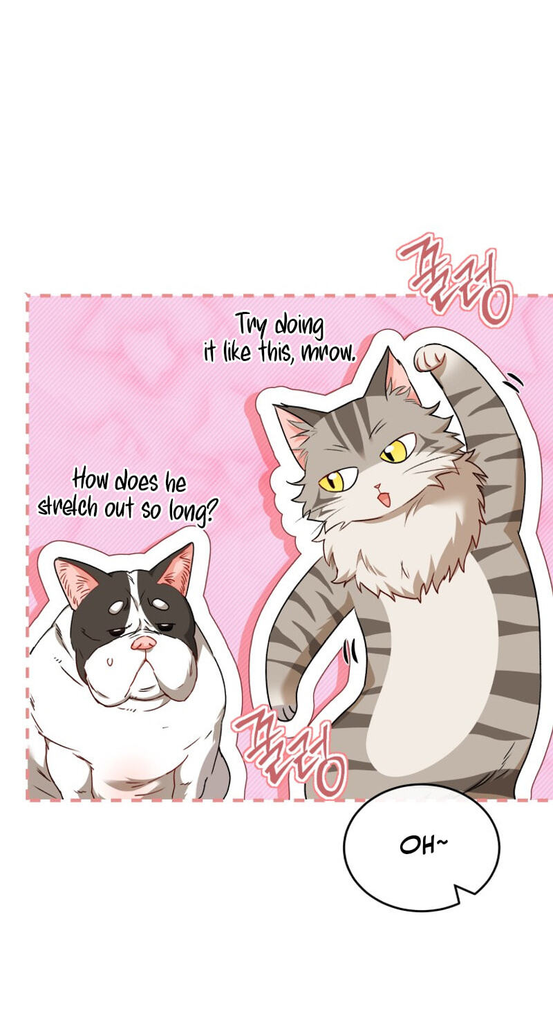 Read Hello, Mr. Veterinarian! chapter 141 image 59 on Lezhin