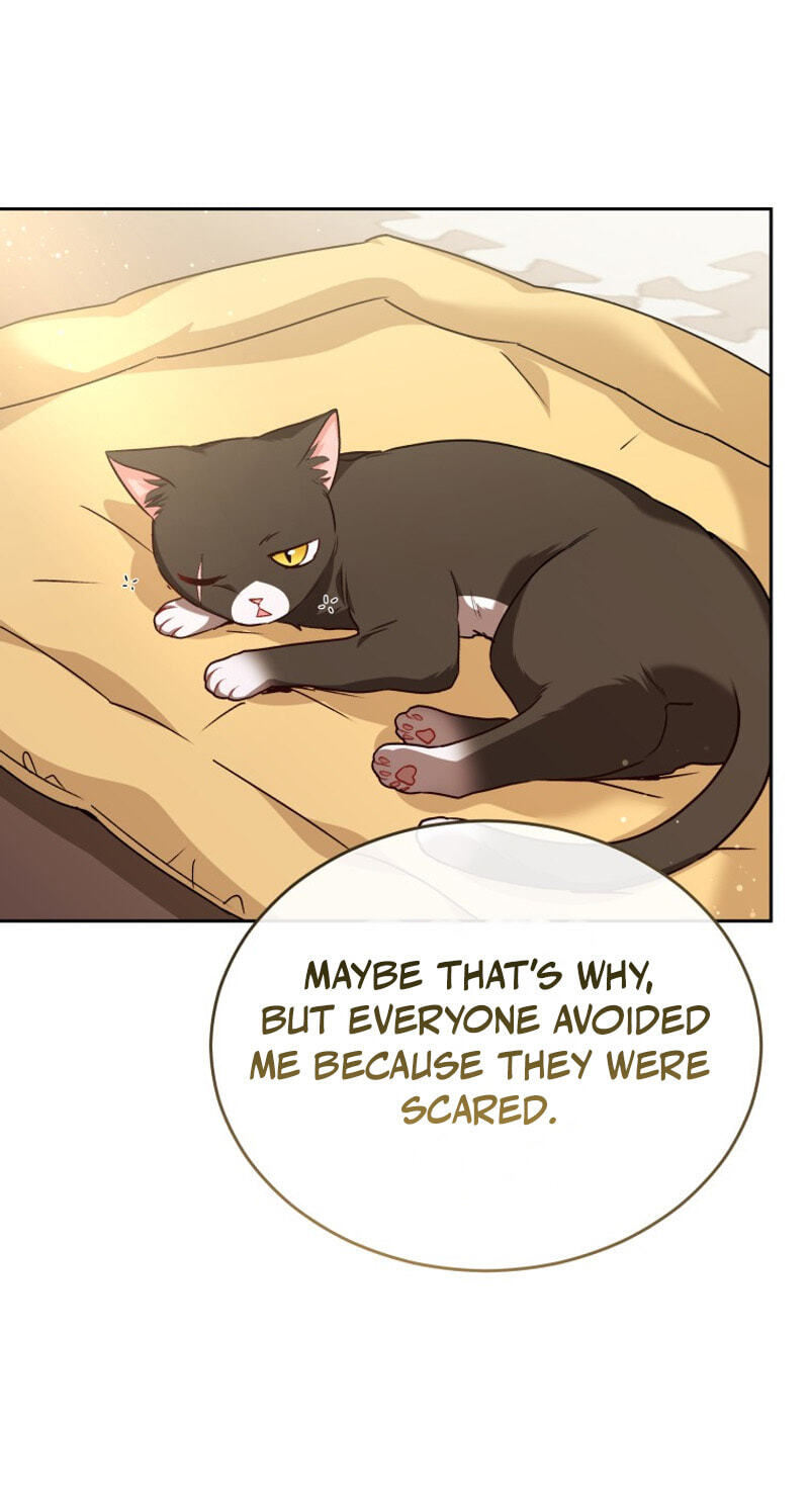Read Hello, Mr. Veterinarian! chapter 141 image 70 on Lezhin