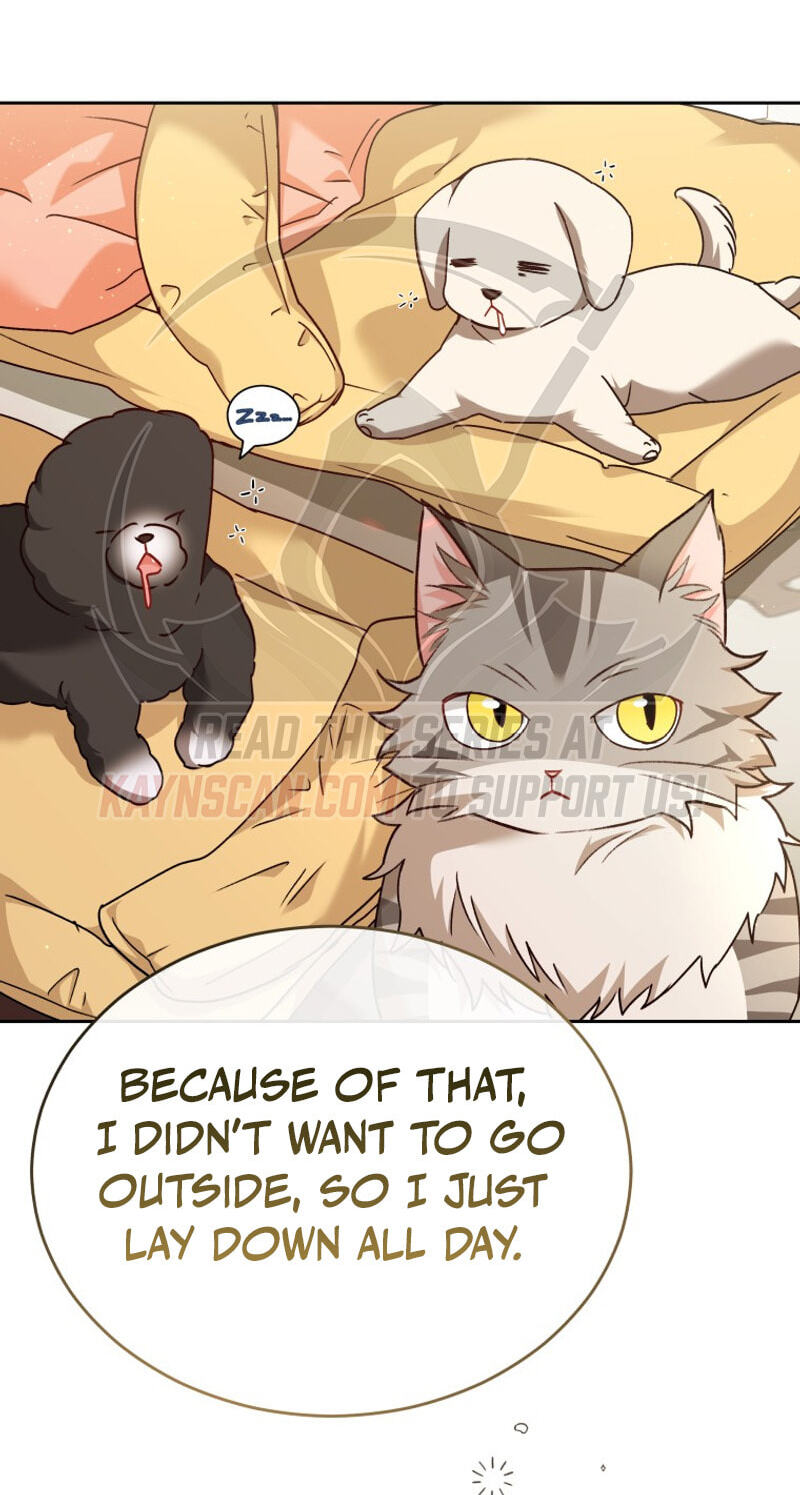 Read Hello, Mr. Veterinarian! chapter 141 image 71 on Lezhin