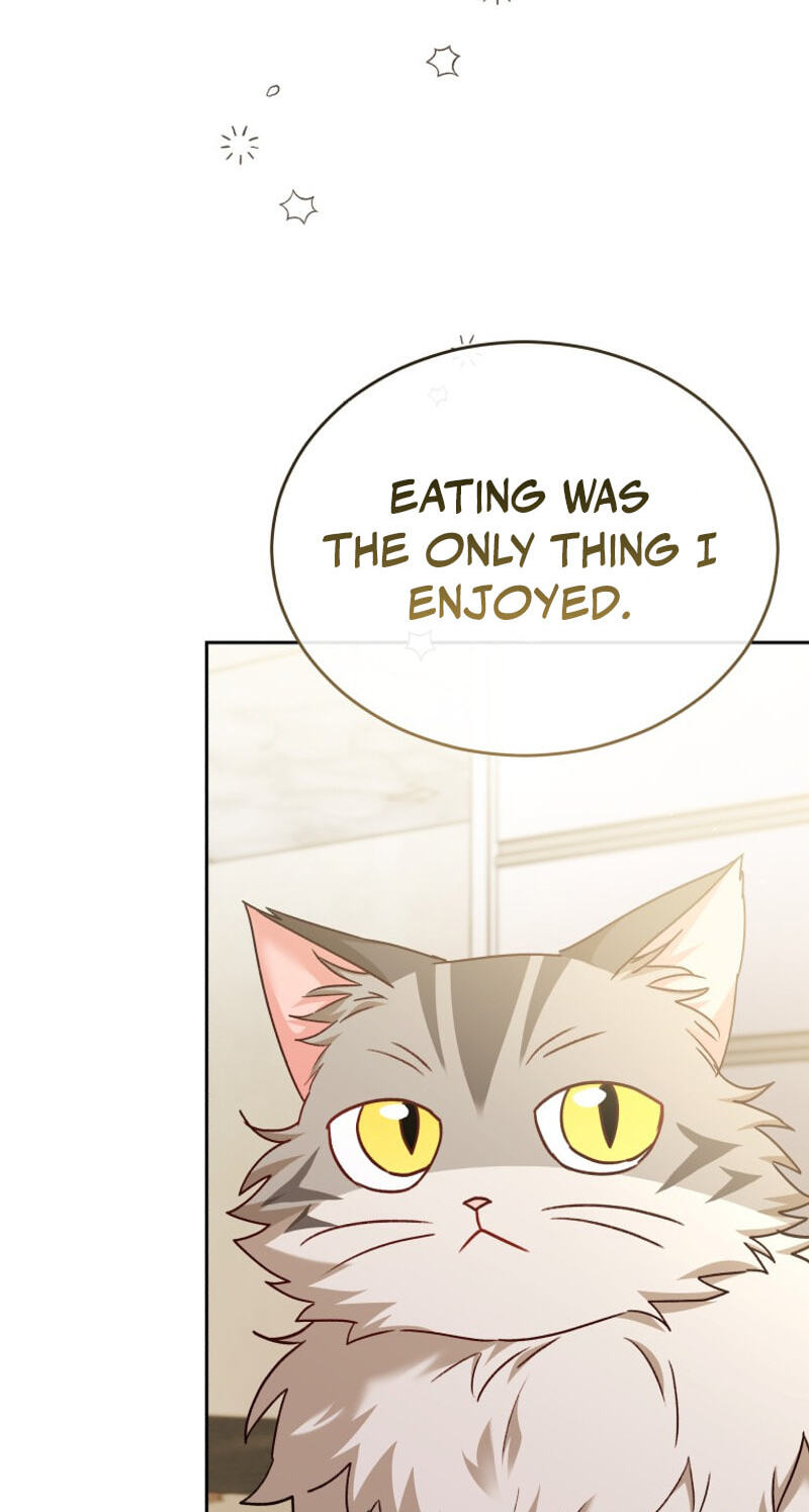 Read Hello, Mr. Veterinarian! chapter 141 image 72 on Lezhin