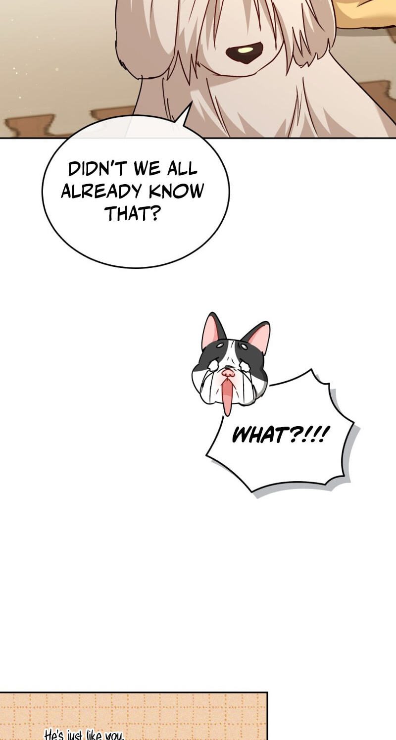 Read Hello, Mr. Veterinarian! chapter 141 image 74 on Lezhin