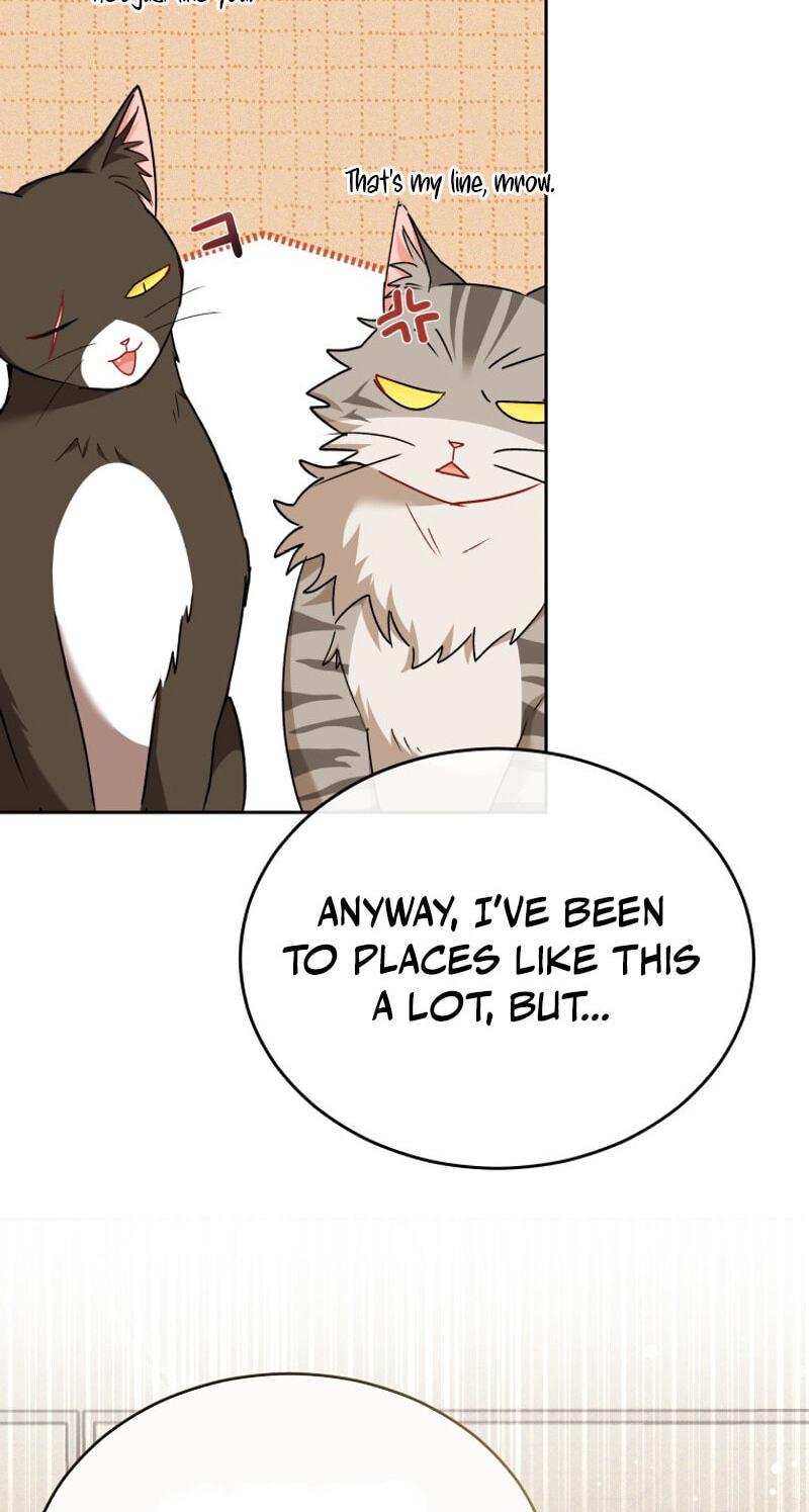 Read Hello, Mr. Veterinarian! chapter 141 image 75 on Lezhin