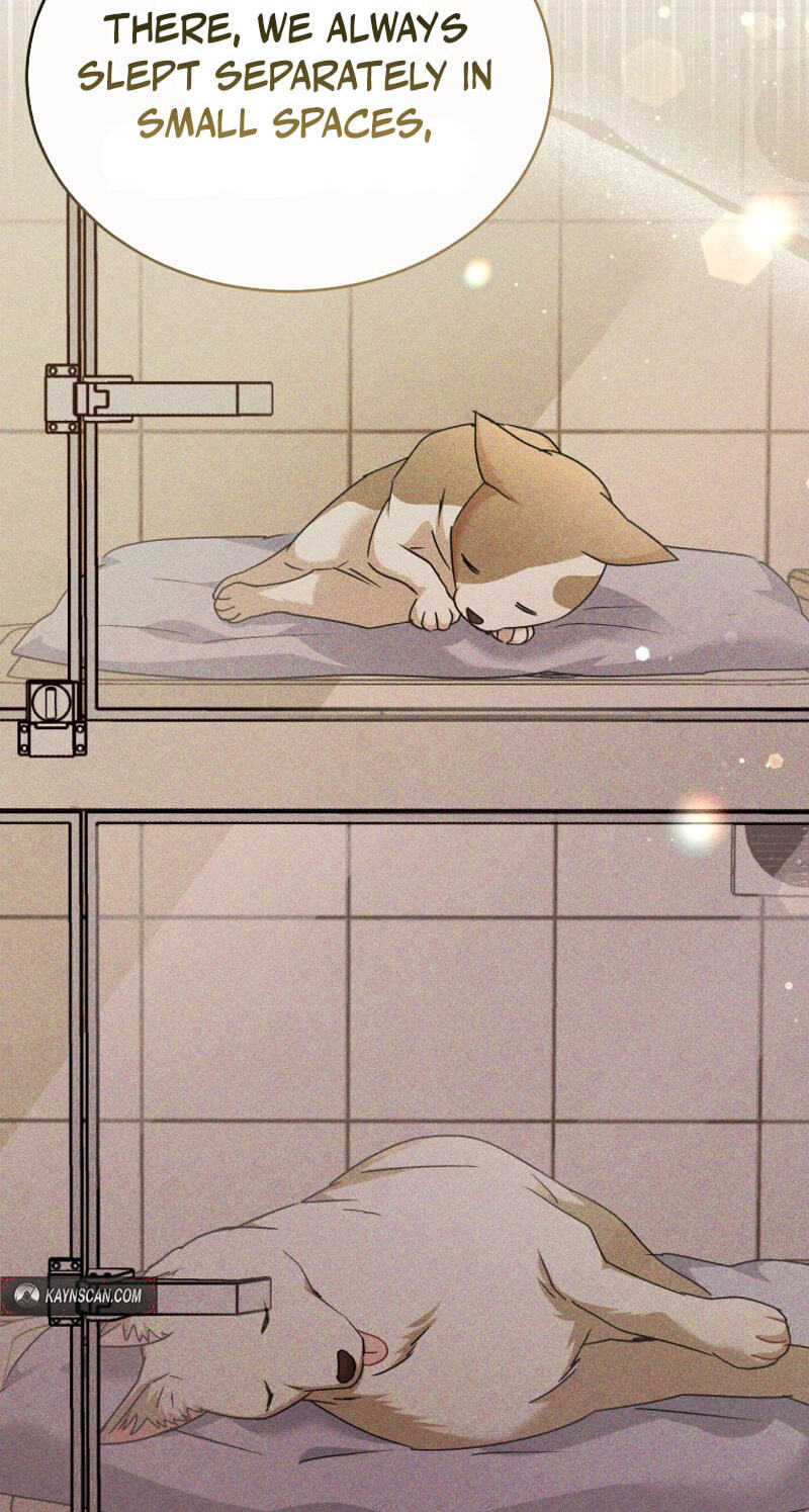 Read Hello, Mr. Veterinarian! chapter 141 image 76 on Lezhin