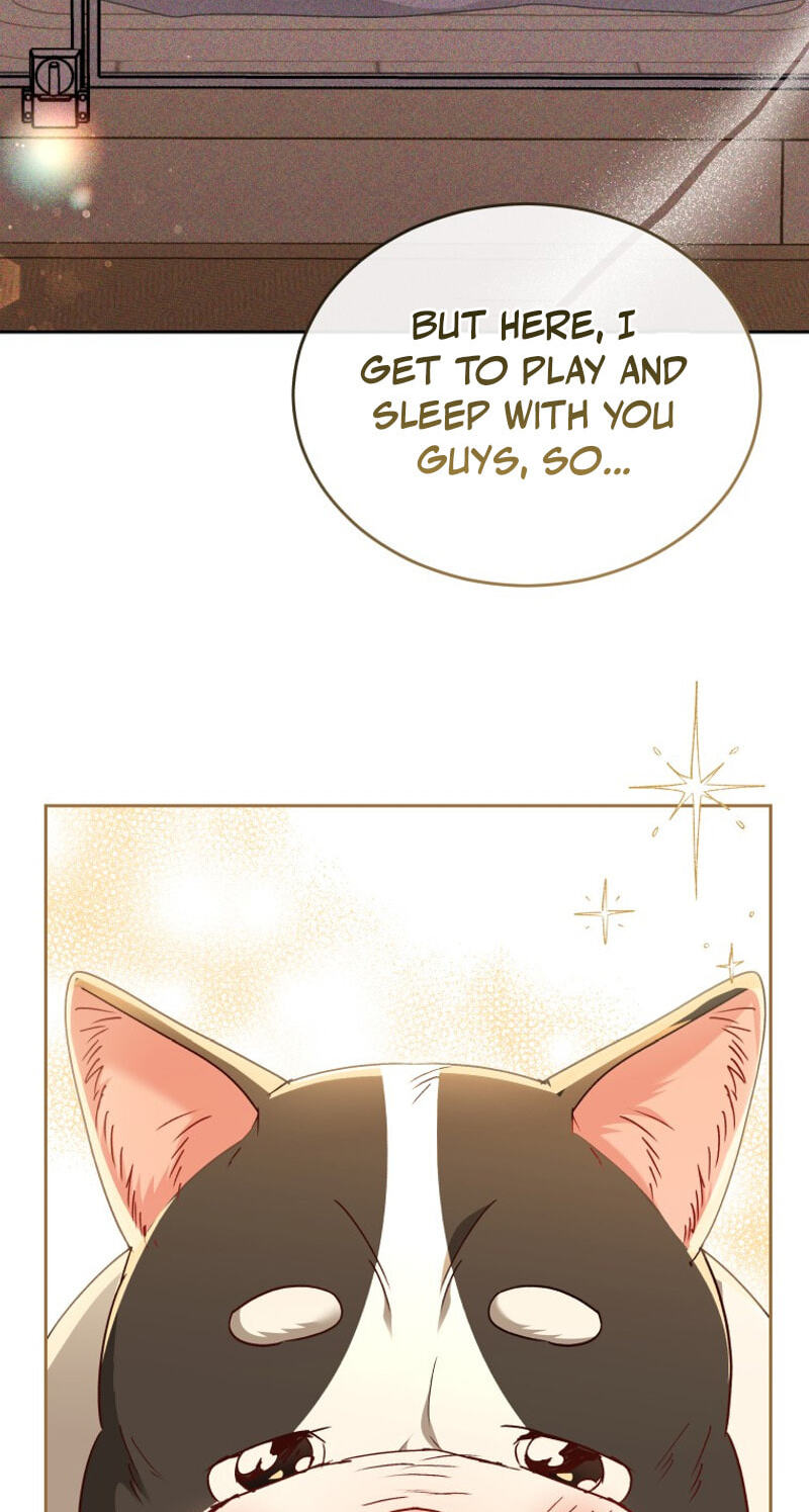 Read Hello, Mr. Veterinarian! chapter 141 image 77 on Lezhin