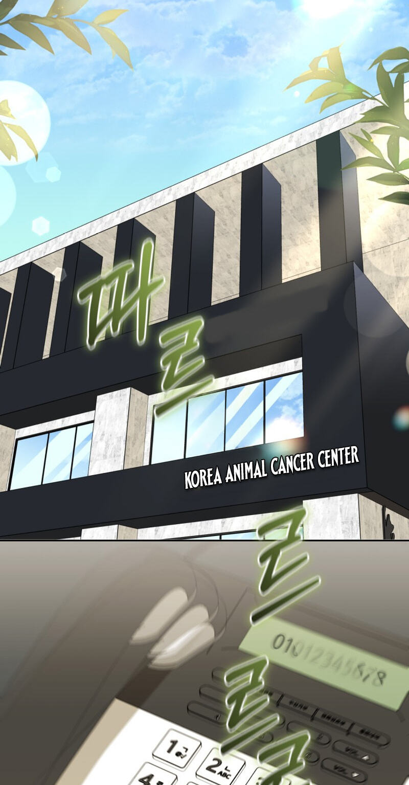 Read Hello, Mr. Veterinarian! chapter 141 image 85 on Lezhin