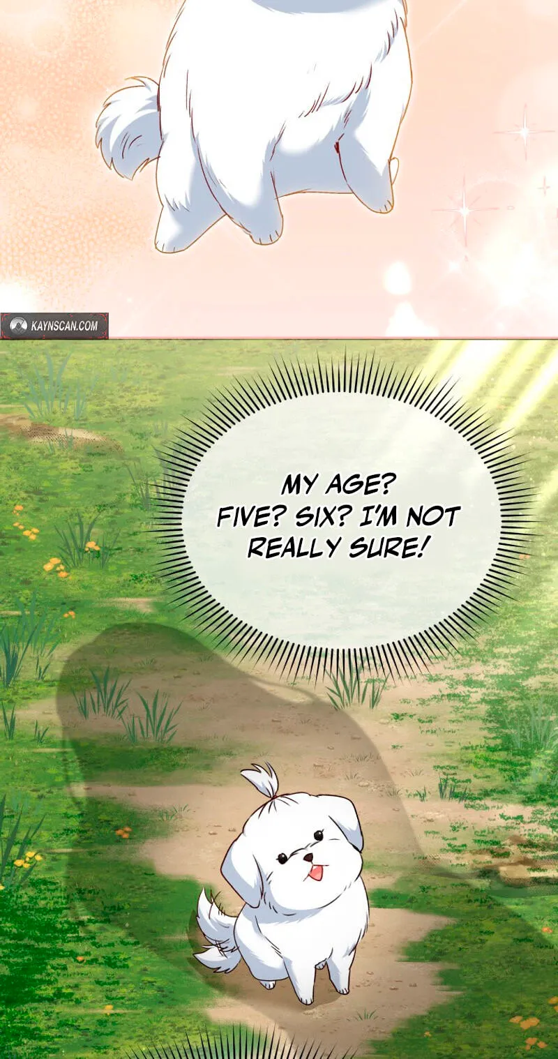 Read Hello, Mr. Veterinarian! chapter 144 image 1 on Lezhin