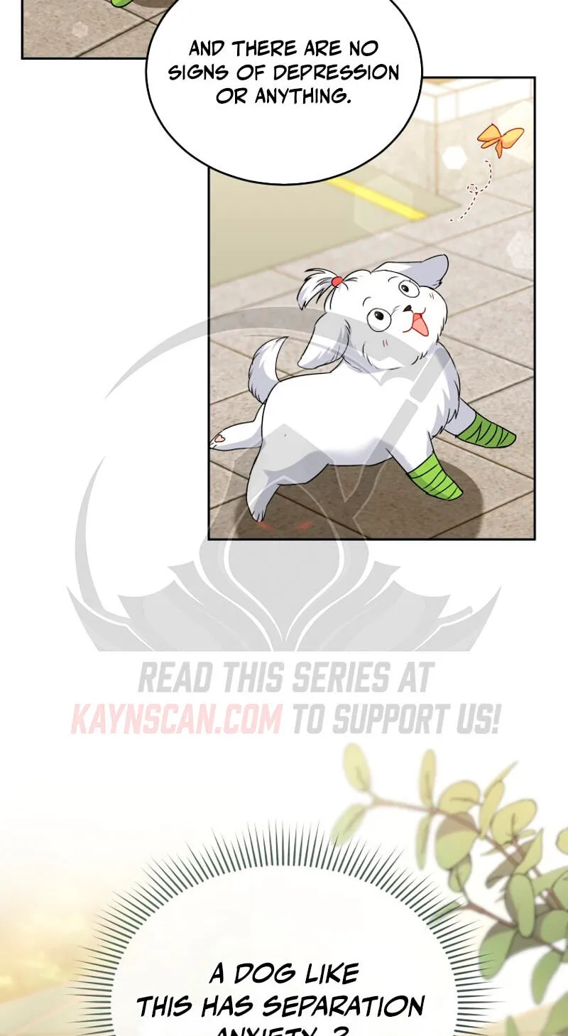 Read Hello, Mr. Veterinarian! chapter 144 image 12 on Lezhin