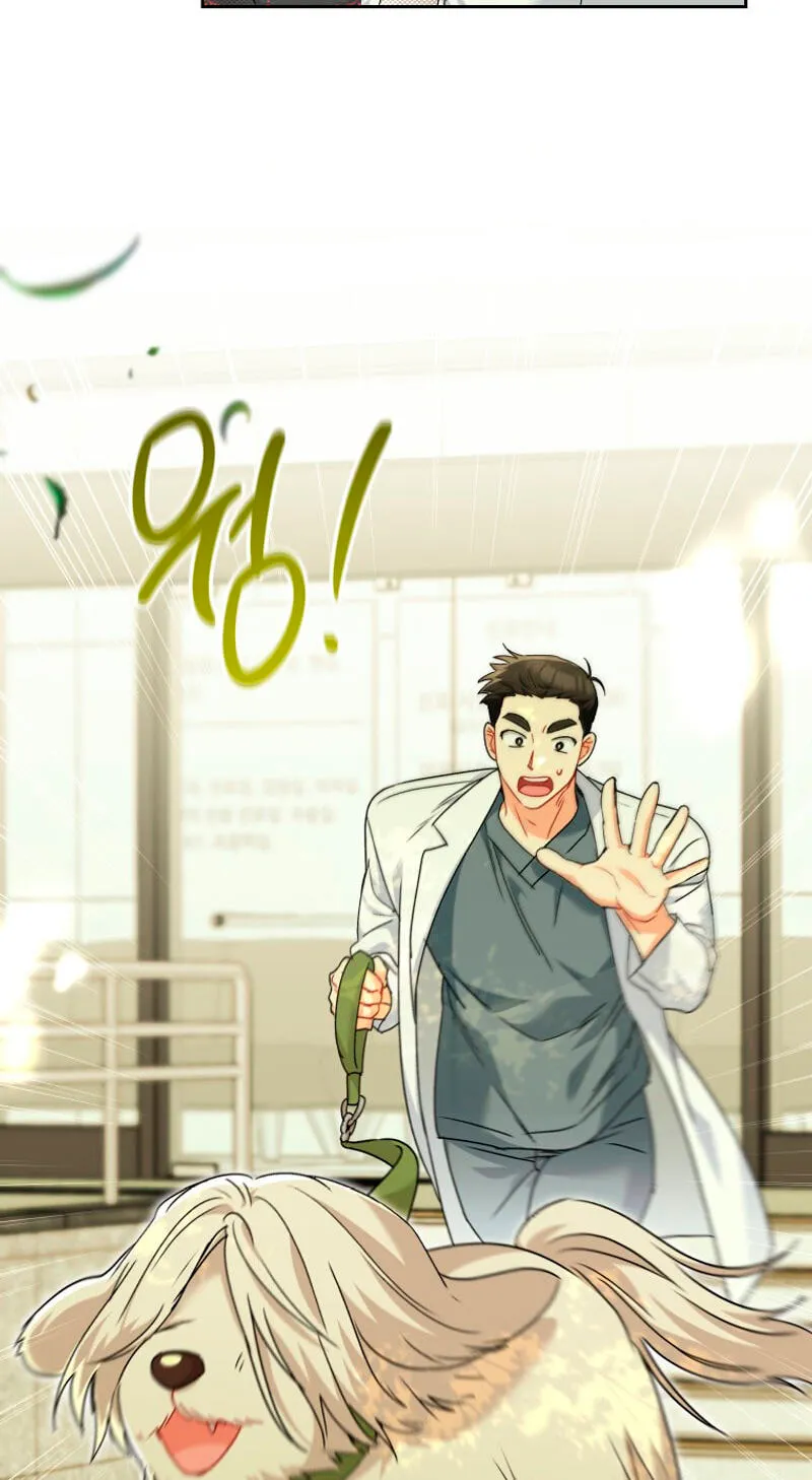 Read Hello, Mr. Veterinarian! chapter 144 image 15 on Lezhin