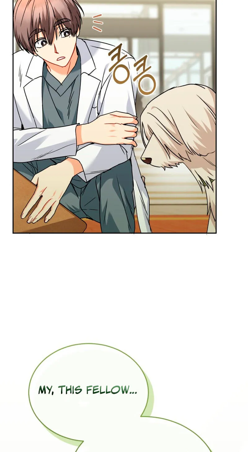 Read Hello, Mr. Veterinarian! chapter 144 image 17 on Lezhin