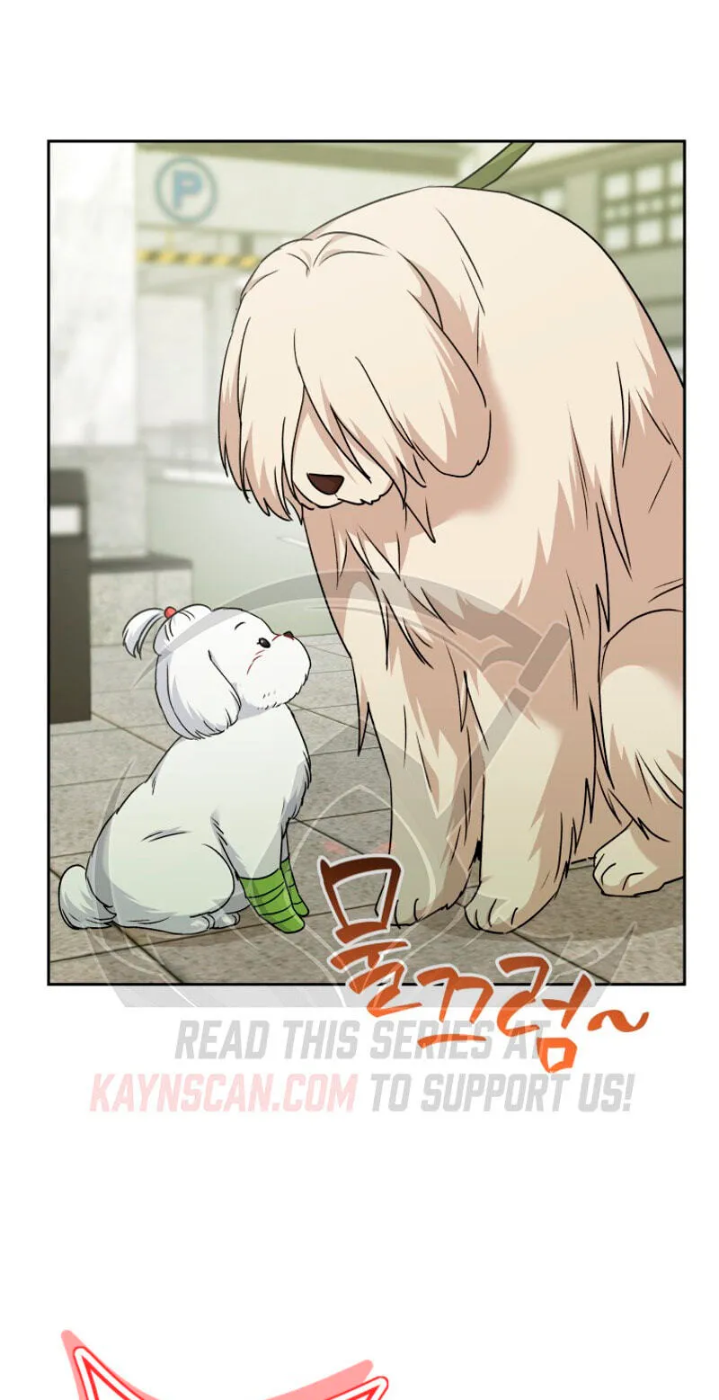 Read Hello, Mr. Veterinarian! chapter 144 image 20 on Lezhin