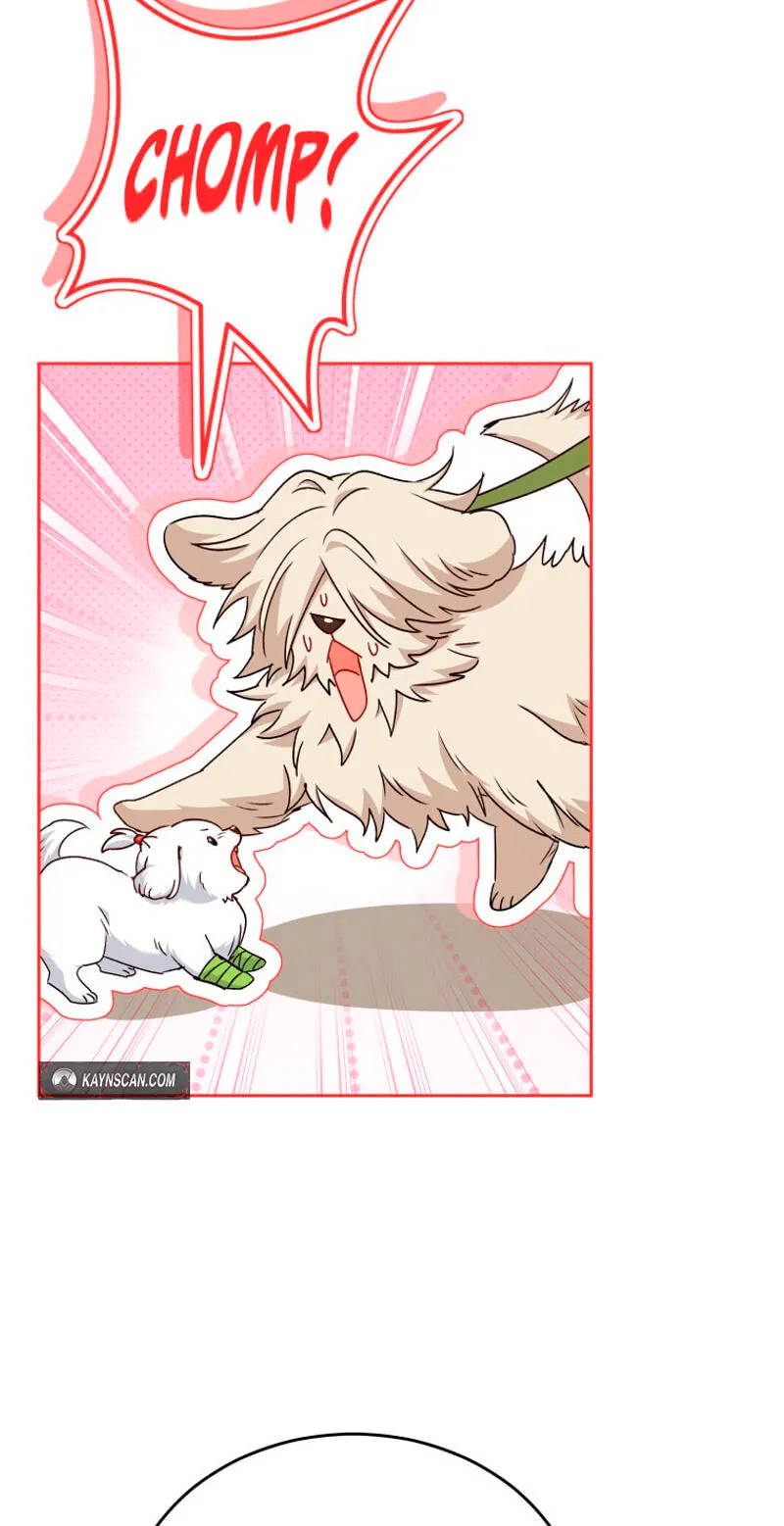 Read Hello, Mr. Veterinarian! chapter 144 image 21 on Lezhin