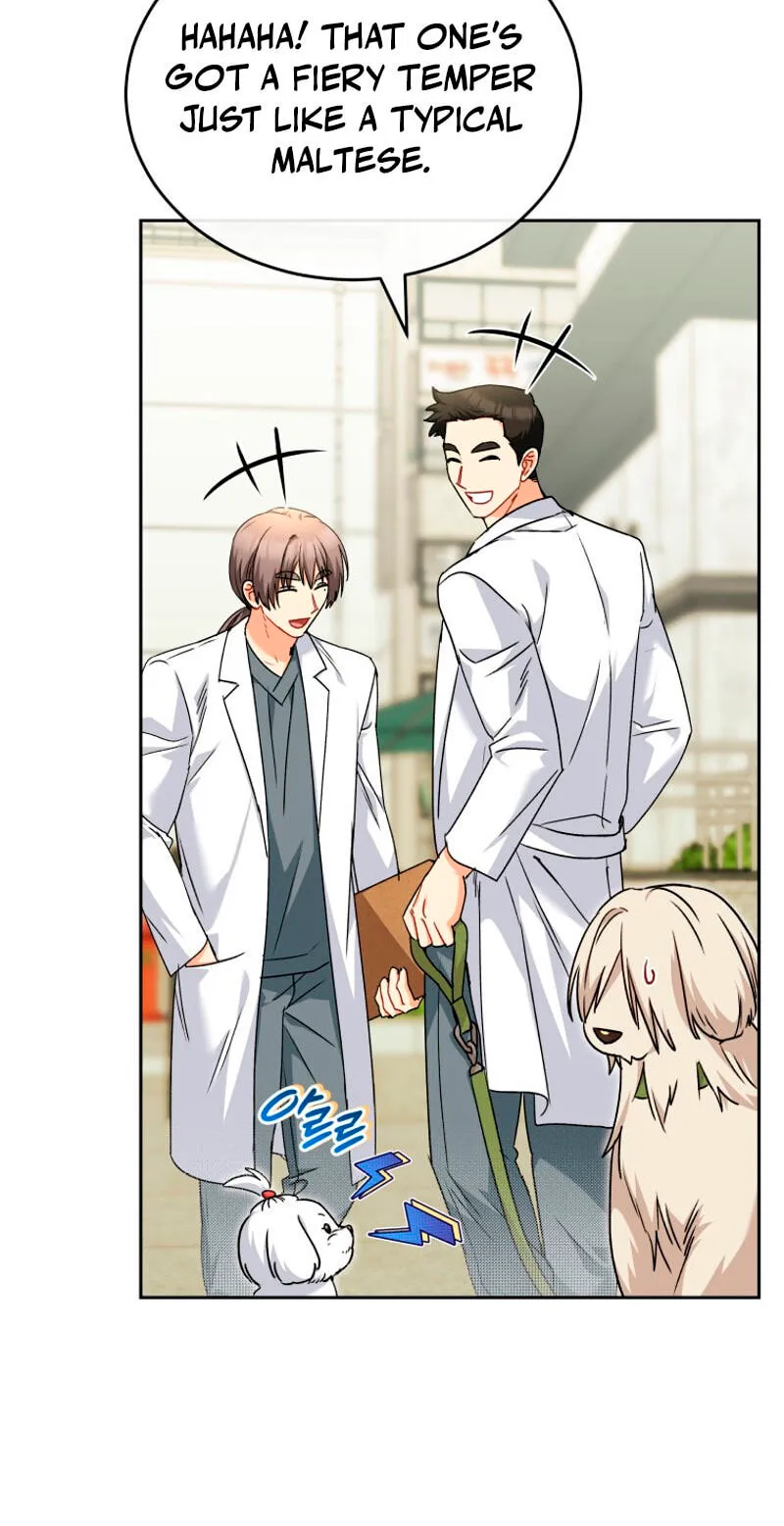 Read Hello, Mr. Veterinarian! chapter 144 image 22 on Lezhin