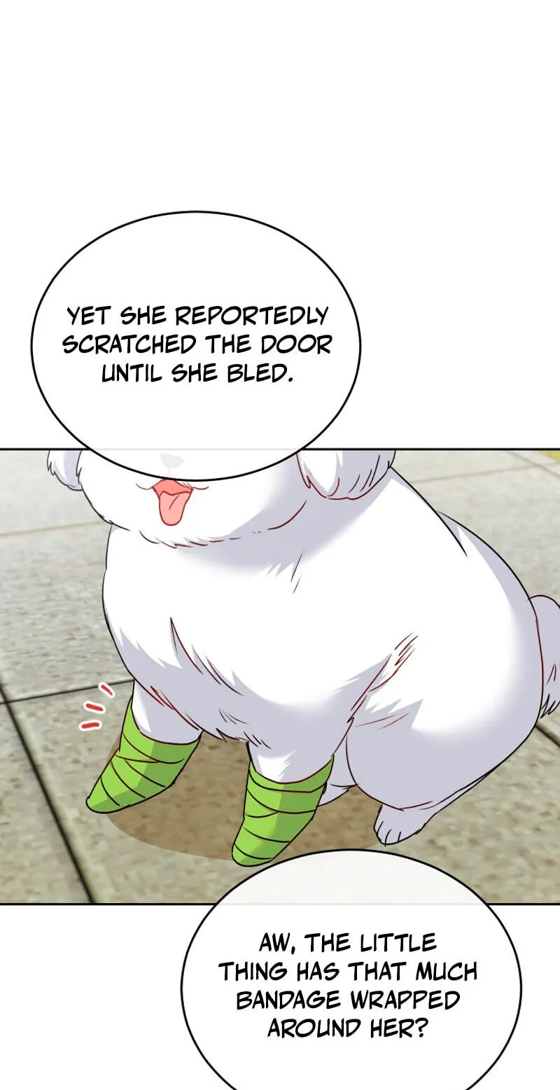 Read Hello, Mr. Veterinarian! chapter 144 image 24 on Lezhin