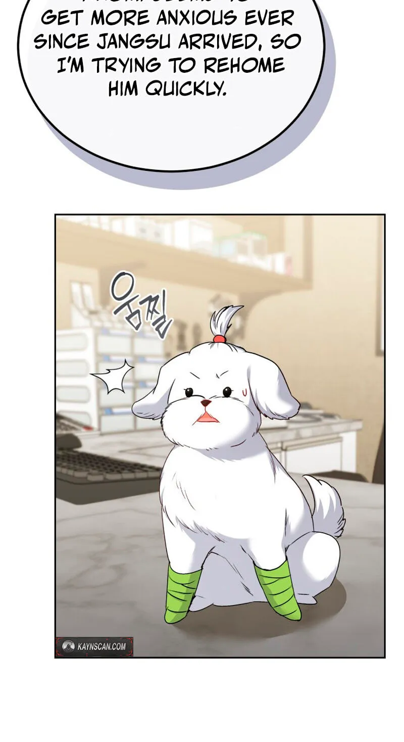 Read Hello, Mr. Veterinarian! chapter 144 image 38 on Lezhin