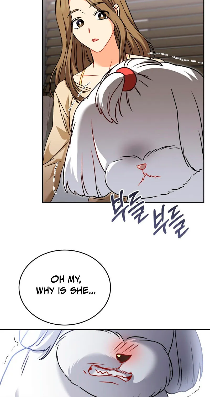 Read Hello, Mr. Veterinarian! chapter 144 image 51 on Lezhin