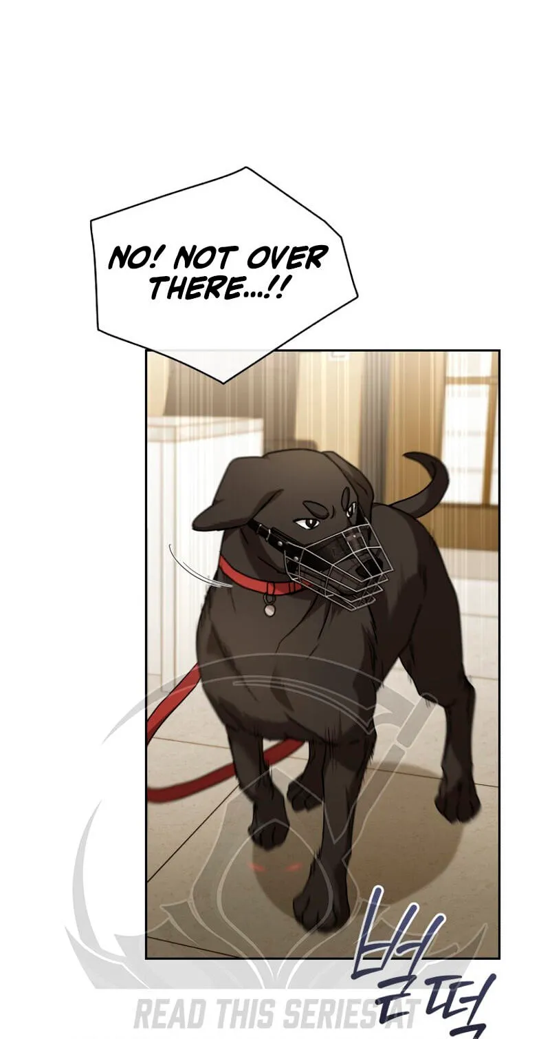 Read Hello, Mr. Veterinarian! chapter 144 image 54 on Lezhin